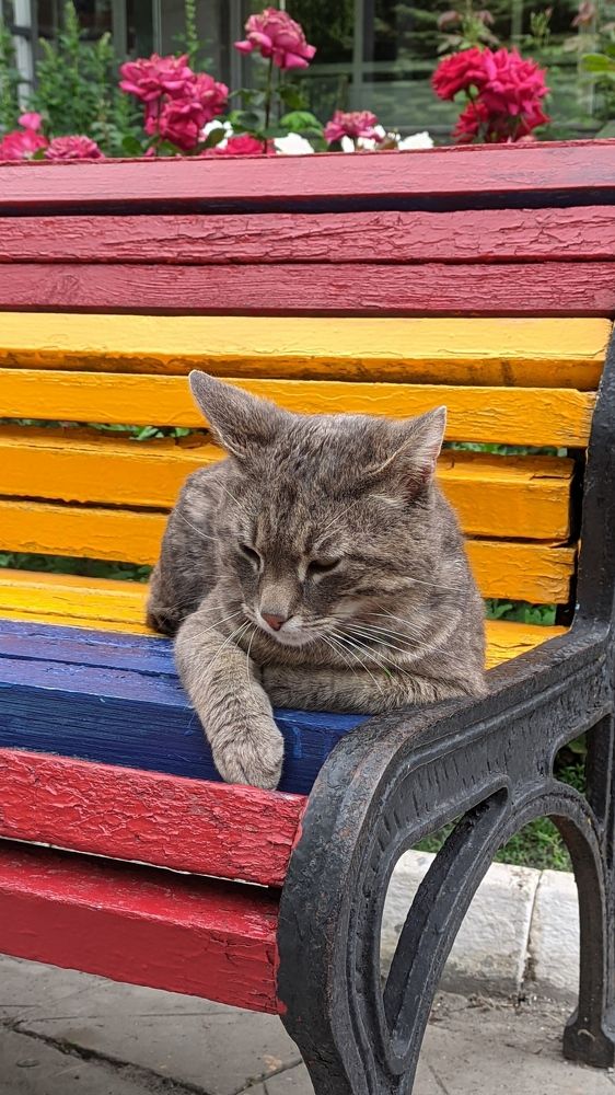 Фотография автора Васильева Ирина