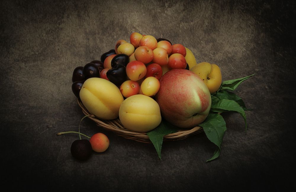 Photograph by Alex Kalpus