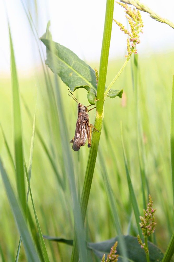 Photograph by Оксана Шарагина