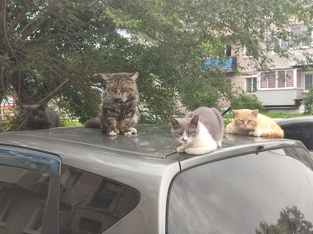 Photograph by Козлова Ольга