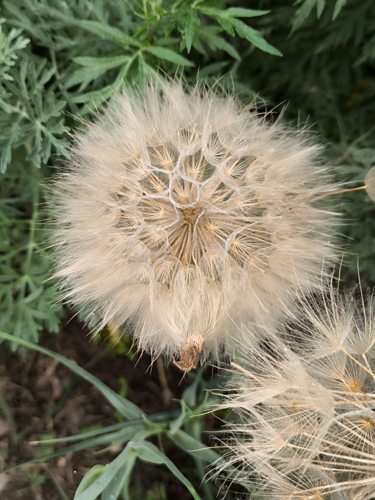 Photograph by Иван Полиненко