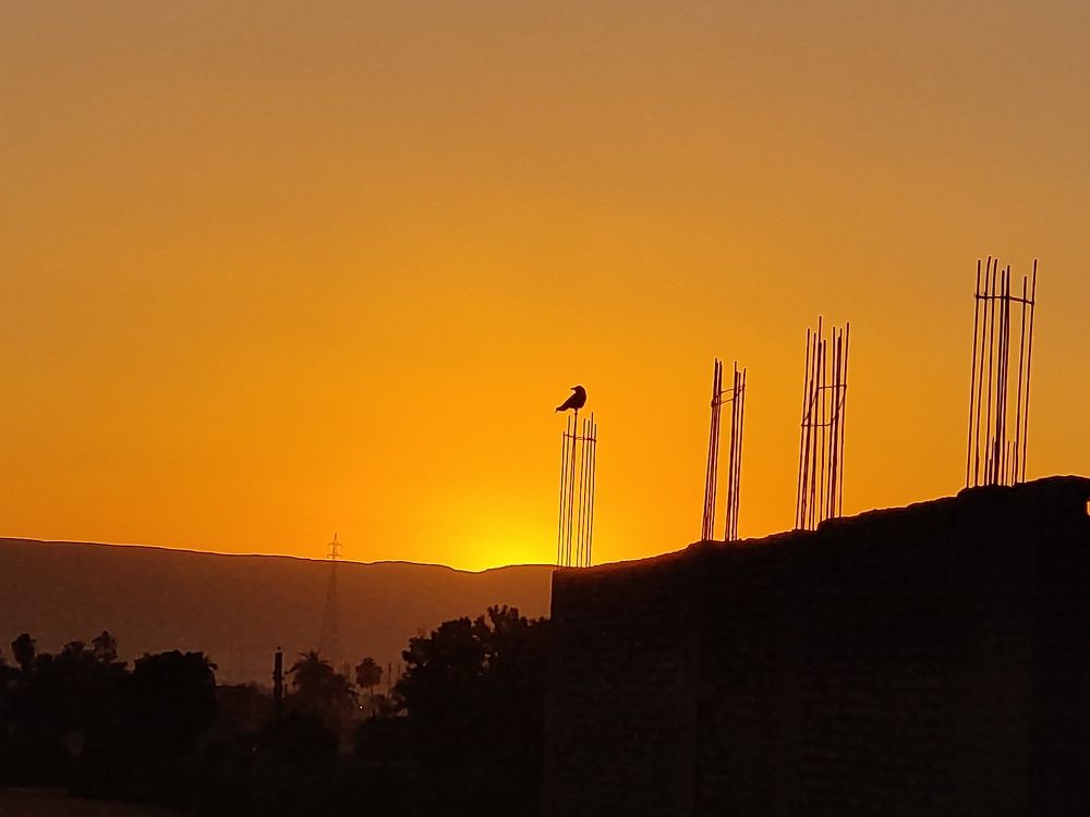 Фотография автора zakaria ahmad