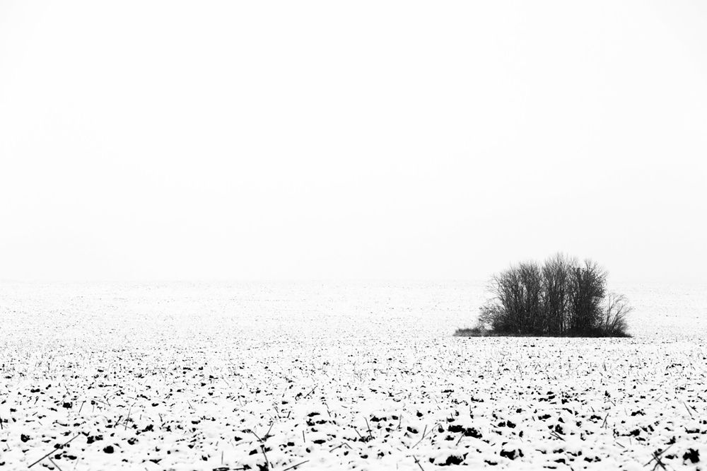 Photograph by Владимир Салапонов