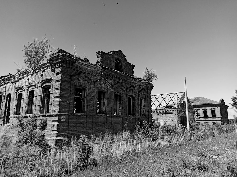 Photograph by Наталья