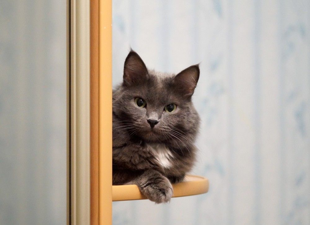 Photograph by Надежда Шапкина