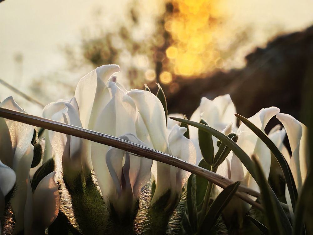 Фотография автора Максим Тельтевский