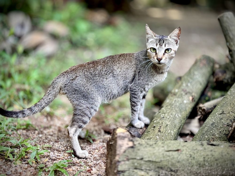 Photograph by Bimali Fernando