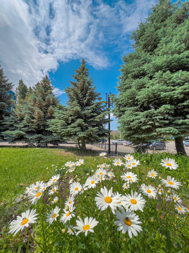 Photograph by Алексей Афанасьев