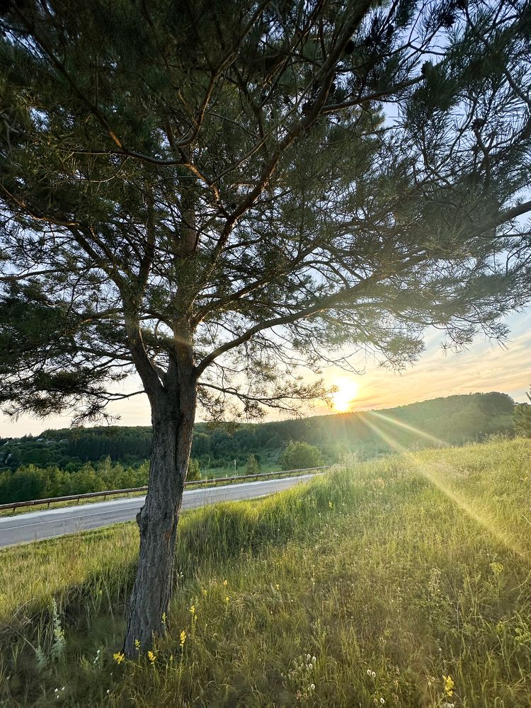 Photograph by Nataliia Nedelina