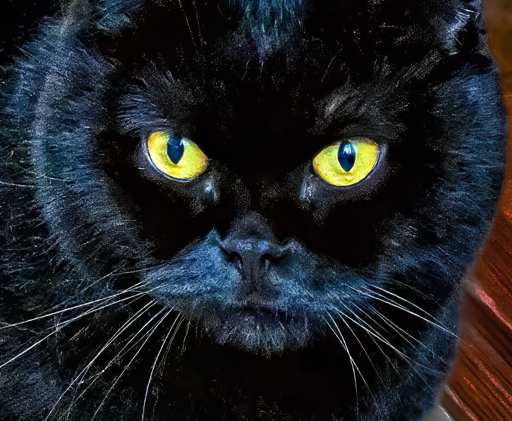 Photograph by Леонид Соболев