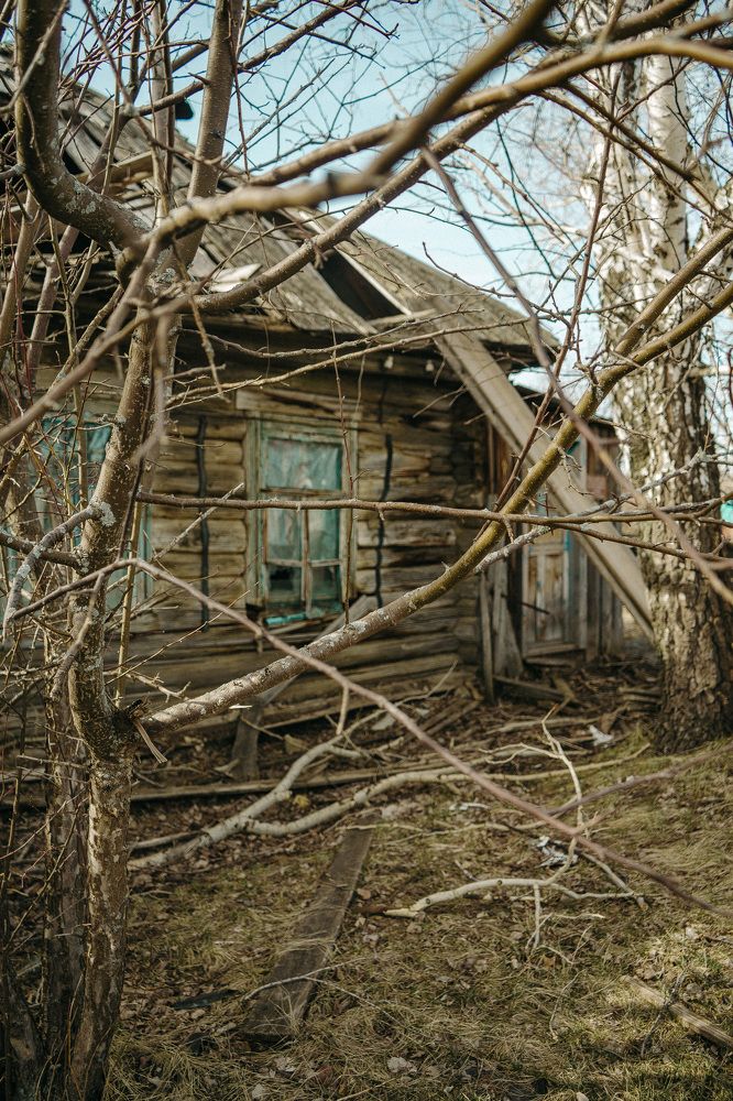 Photograph by Олеся Александрова