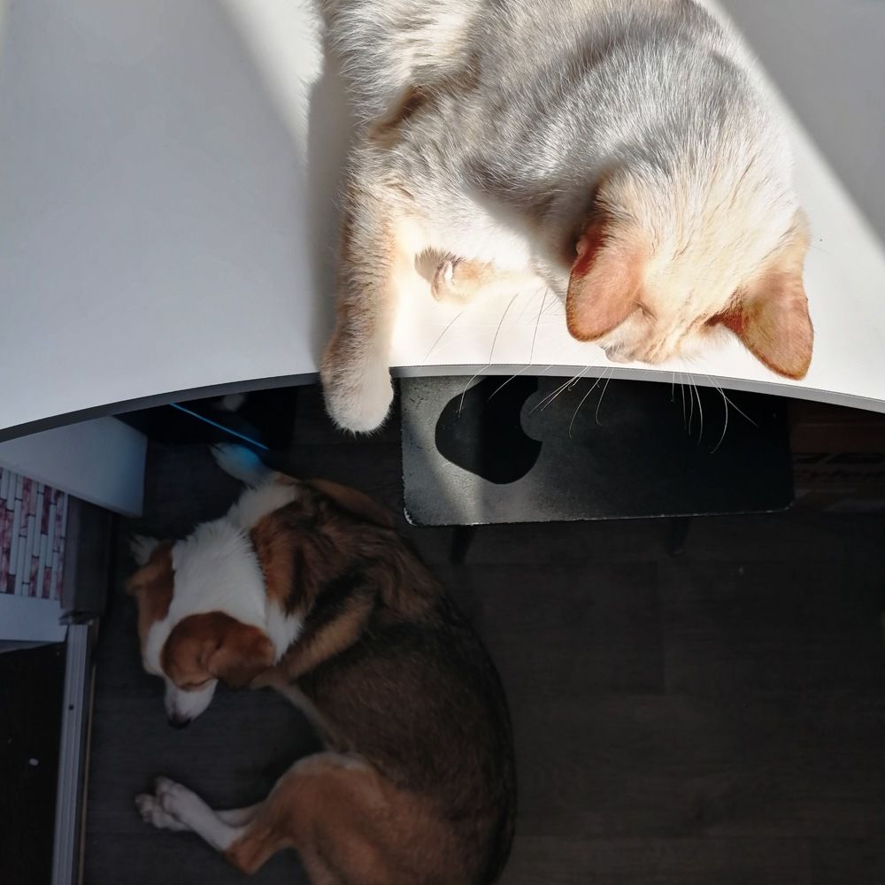 Photograph by Наталья Муравейко