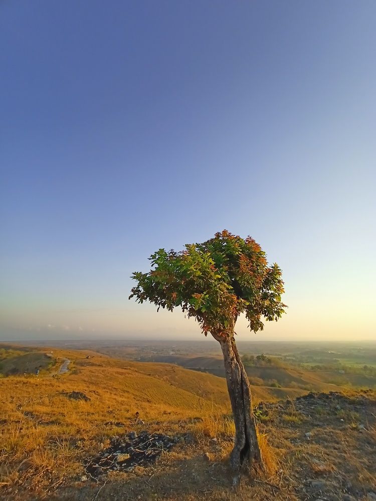 Photograph by Irfan Nuryadin