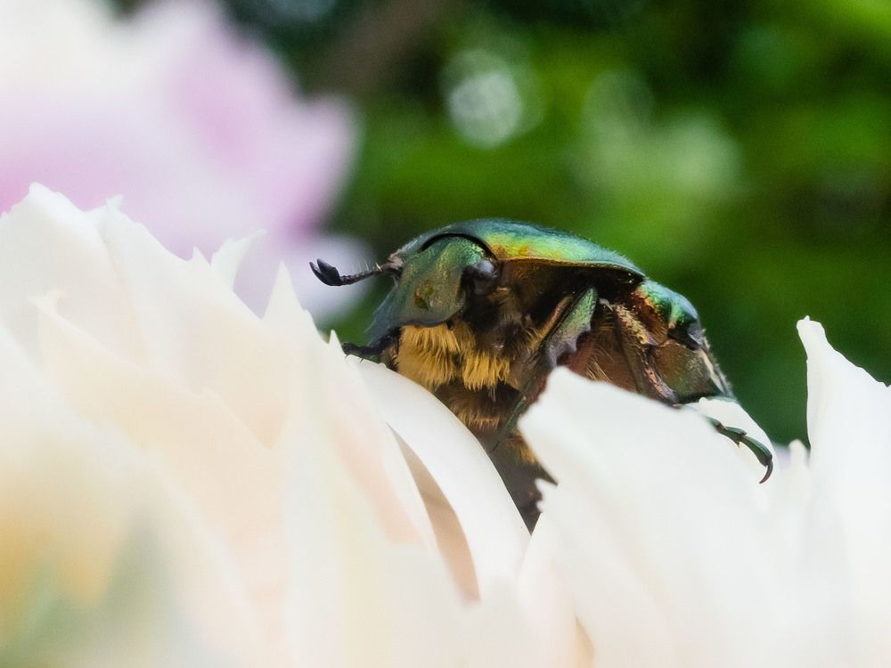 Photograph by Максим Фролов