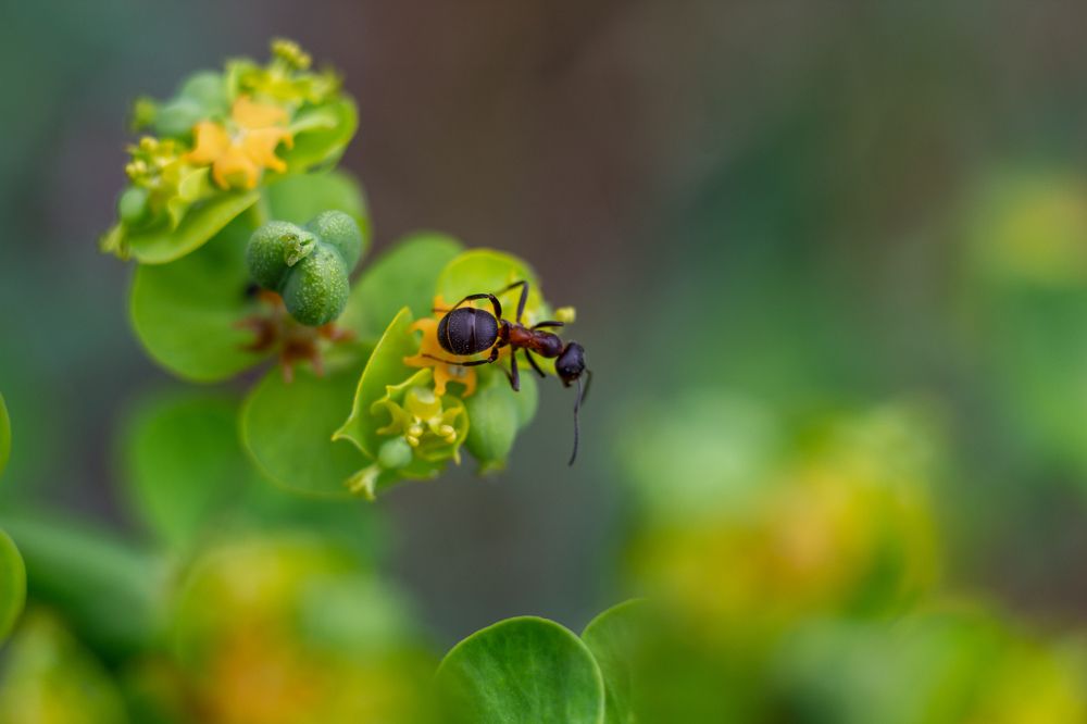 Photograph by Станислав Хаземов
