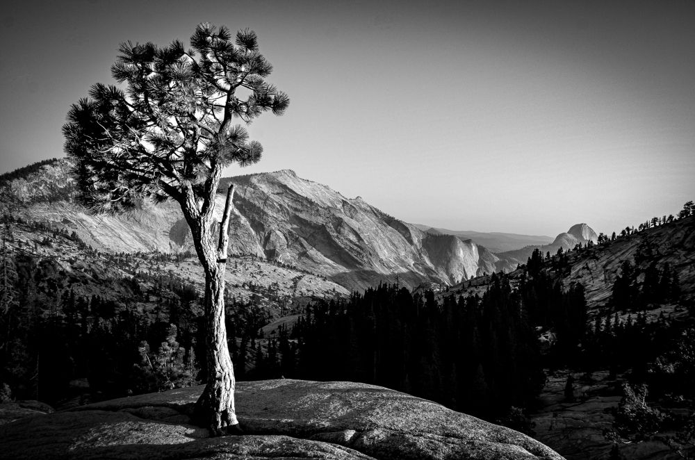 Photograph by Xavier Ponce