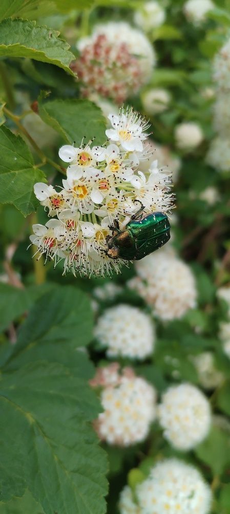 Photograph by Шевченко Алексей