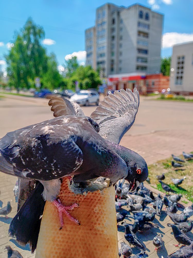 Photograph by Вероника Архипова