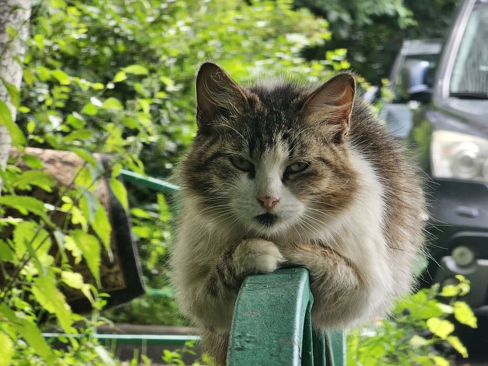 Photograph by Дмитрий Романов