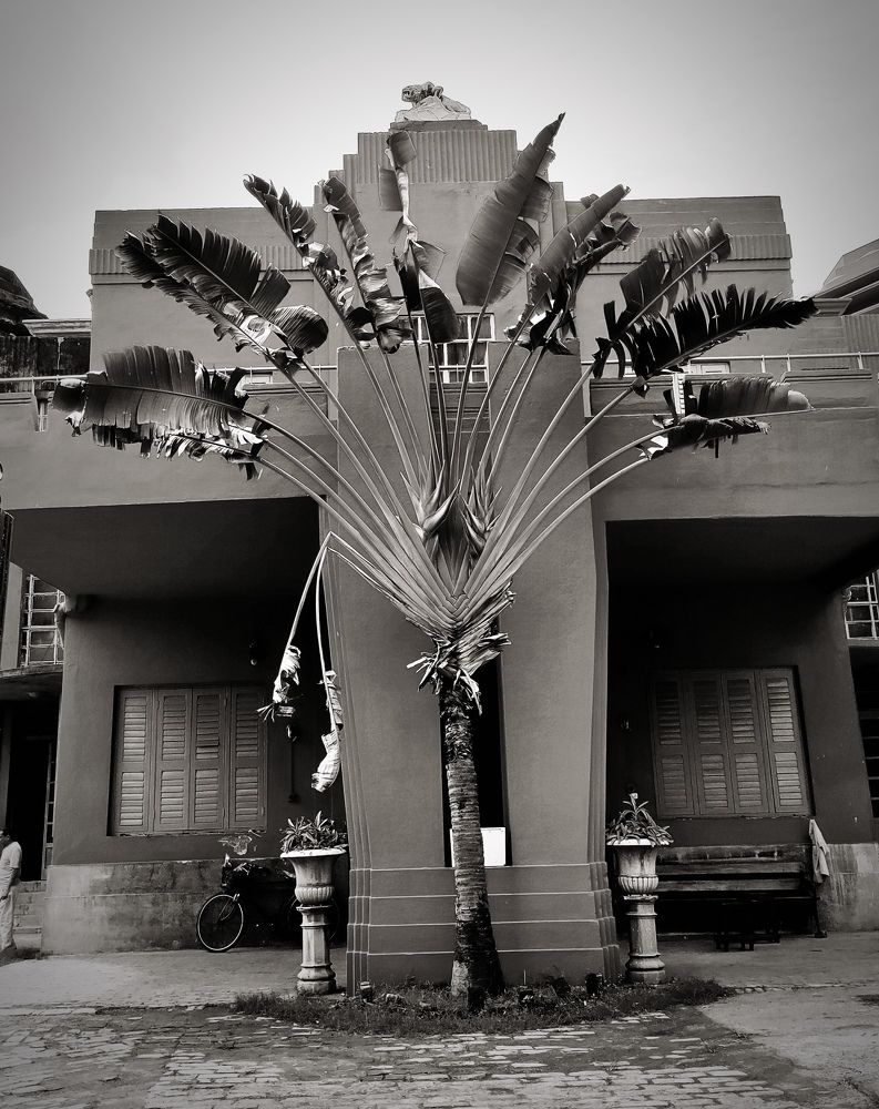 Фотография автора Debdutt Saha