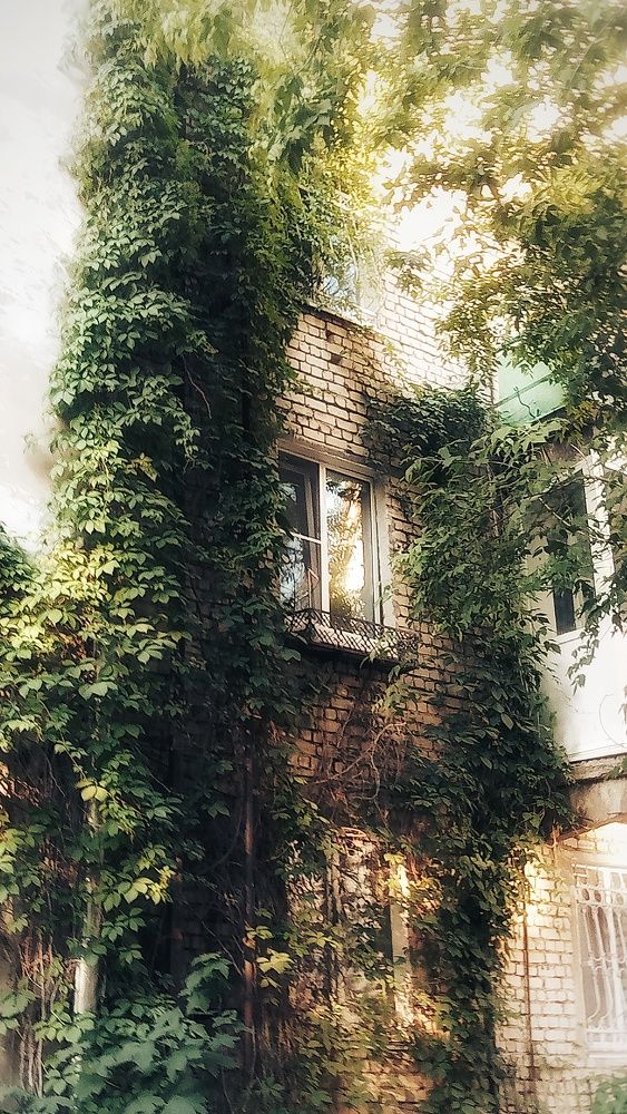 Photograph by Мария Никольская