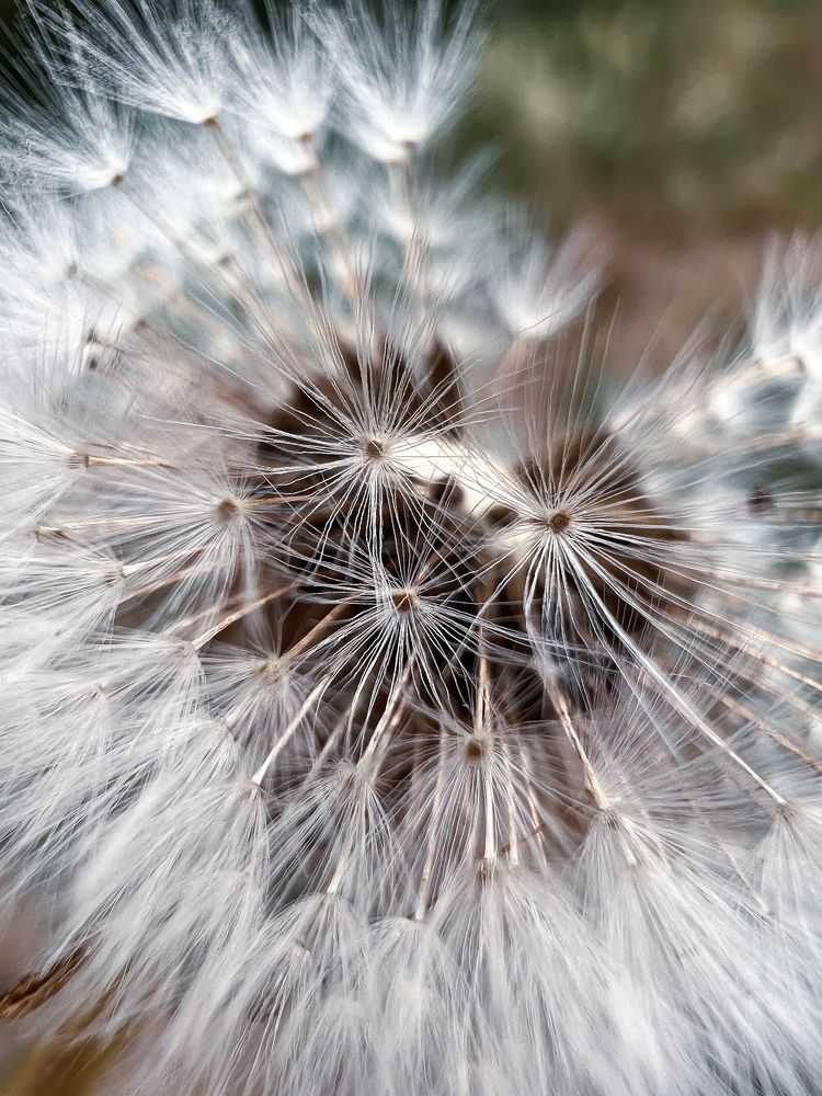 Photograph by Татьяна Волохова