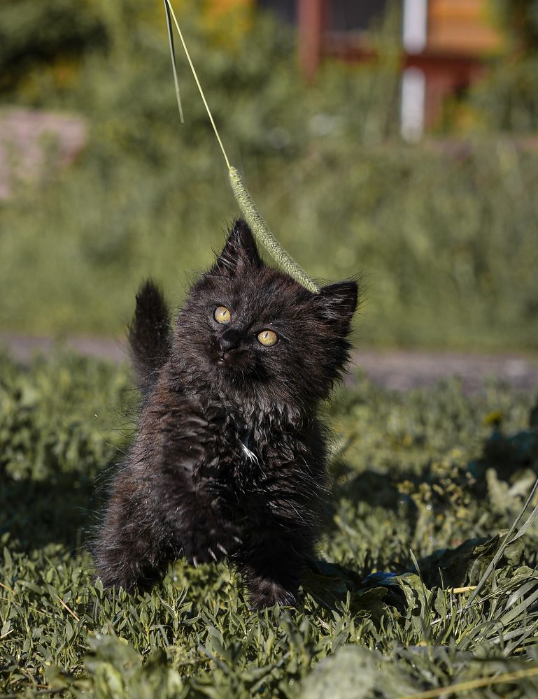 Photograph by Светлана Пронина