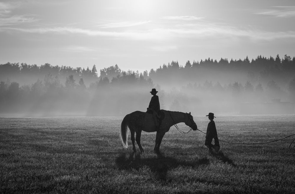 Двое в поле с конем