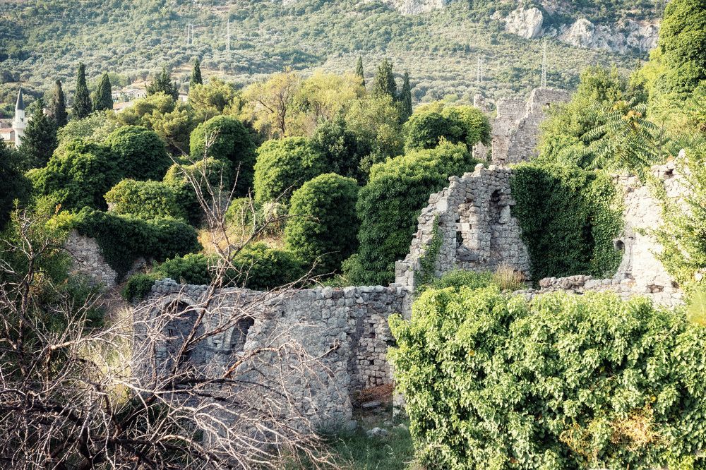 Photograph by ИРЕНА Цурпал