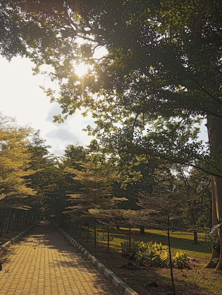 Photograph by Esha