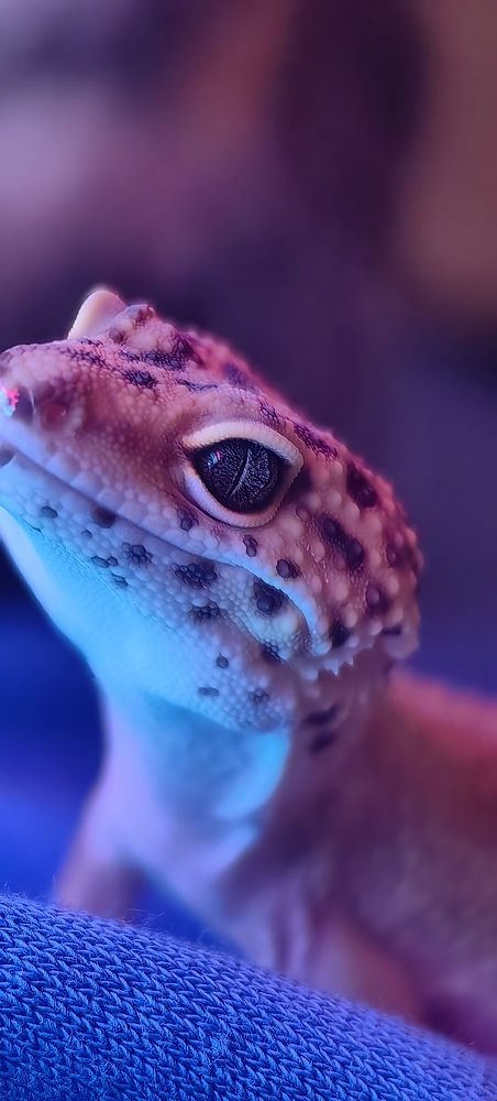 Photograph by Яна Королева