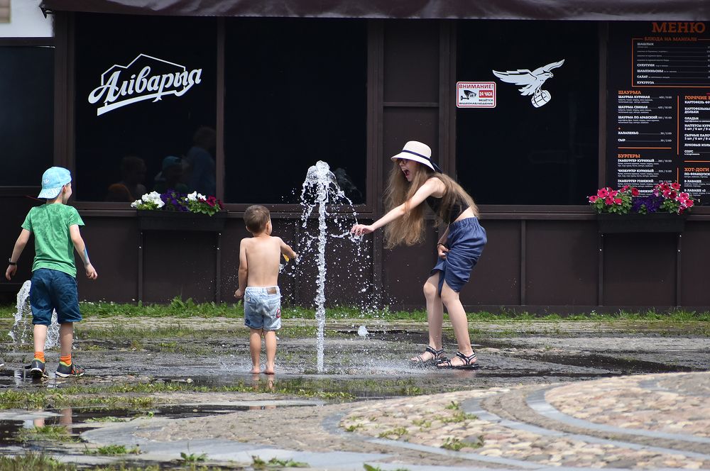 Водяное дерево