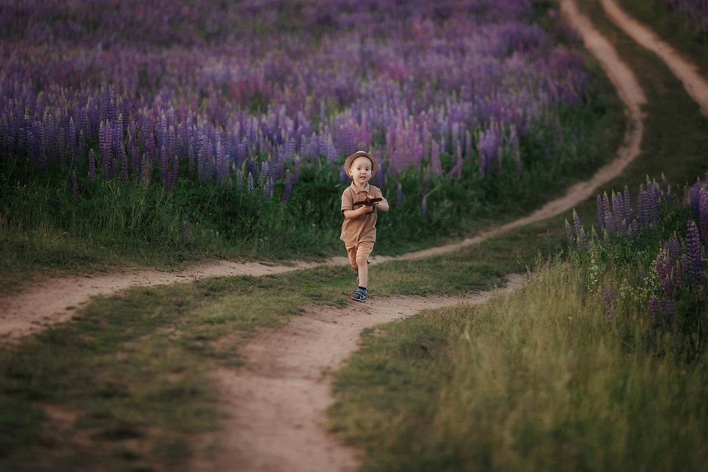 Фотография автора Тамара Дмитриева