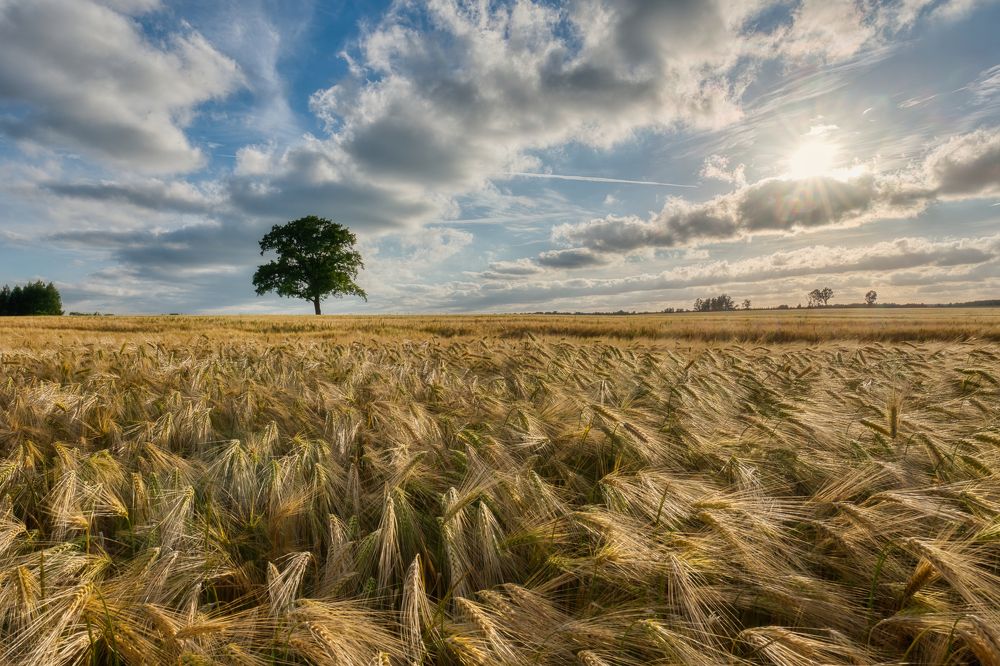 Photograph by Albina Kulikova