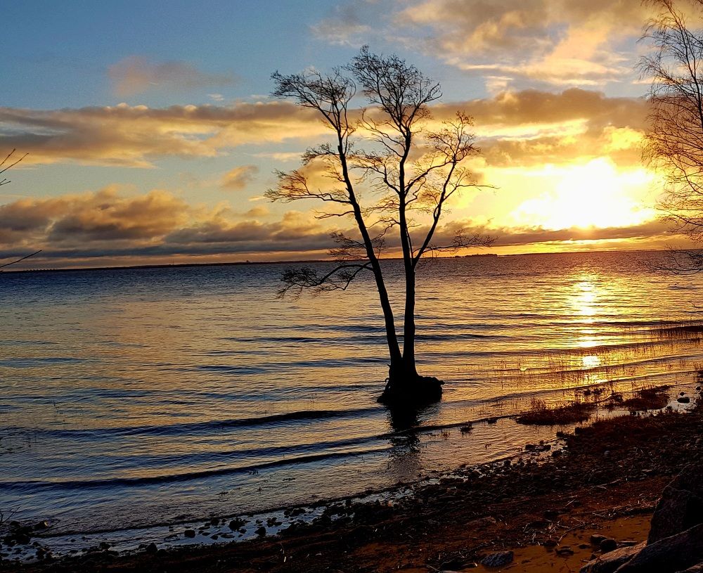 Photograph by Максим Иванов