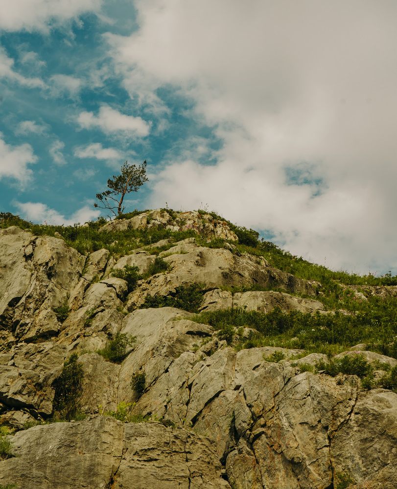 Photograph by Олеся Александрова
