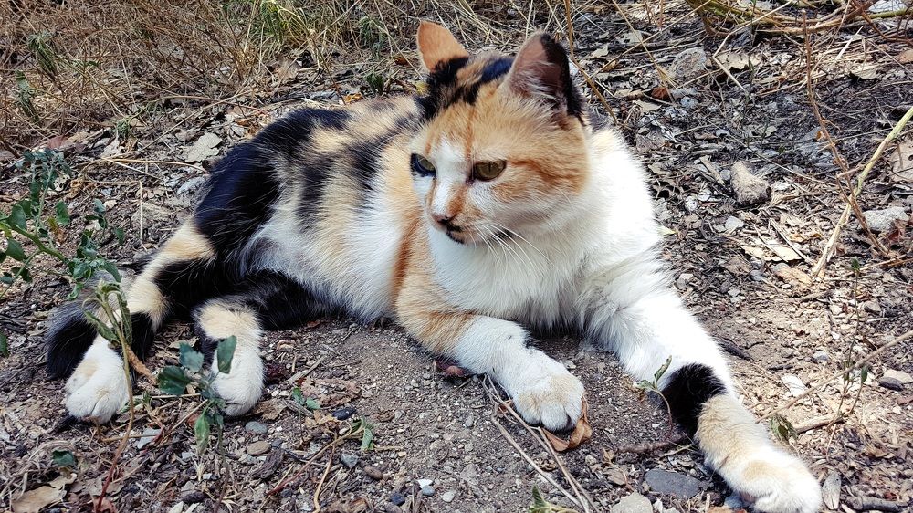 Photograph by Максим Иванов