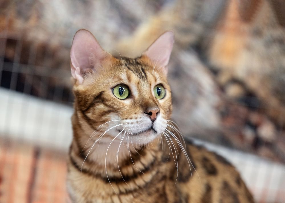 Photograph by Сергей Газизов