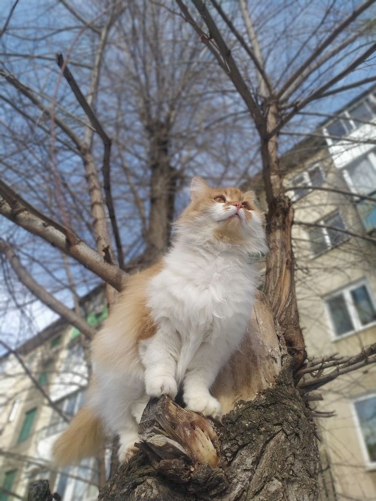 Photograph by Ольга Чернова
