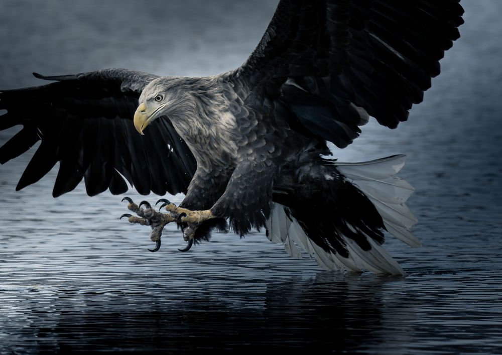 Photograph by Utsunomiya Ryo