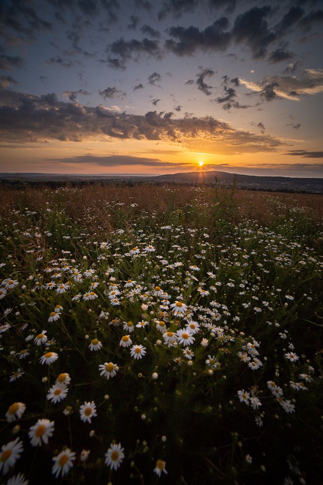 Photograph by Филипп Бабенко