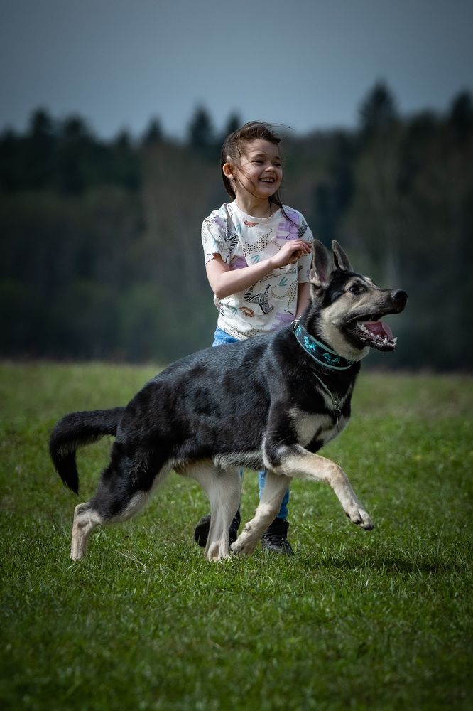 Photograph by Ольга Пачина