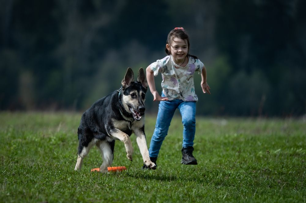 Девочка с собакой