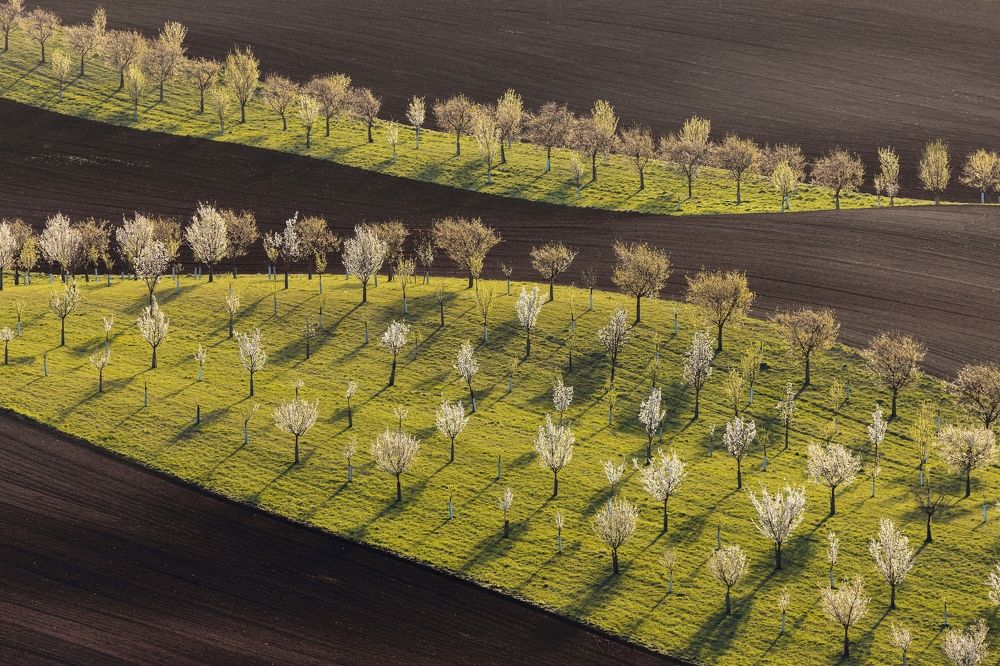 Photograph by Jiří Hakauf