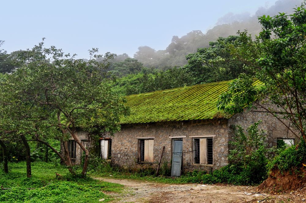 Photograph by Nijas Mohamed