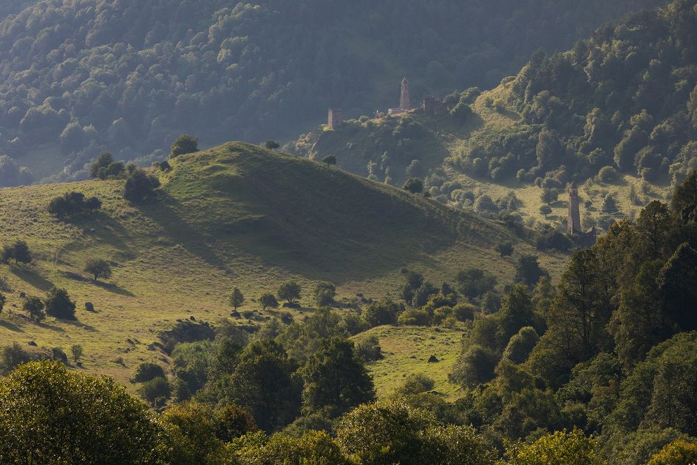 Photograph by Ekaterina Romanova