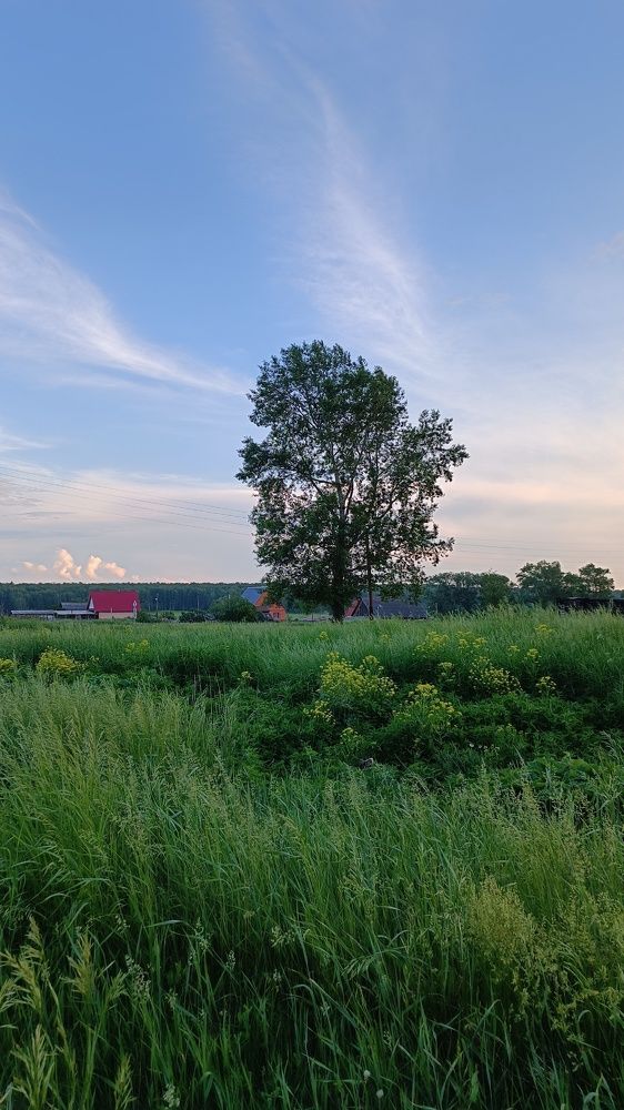 На краю деревни