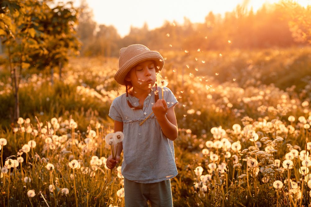 Photograph by Екатерина Воеводская