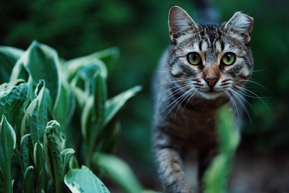 Photograph by Алина