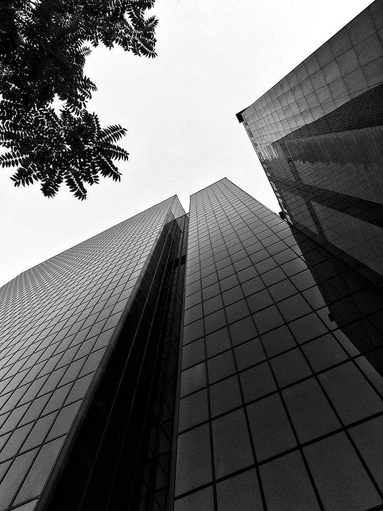 Photograph by Sahar Jafari